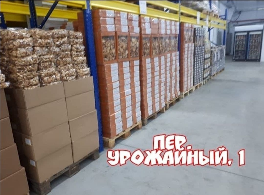 Купить Шуруповерт Магазин Светофор Могилев